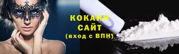 амф Новозыбков